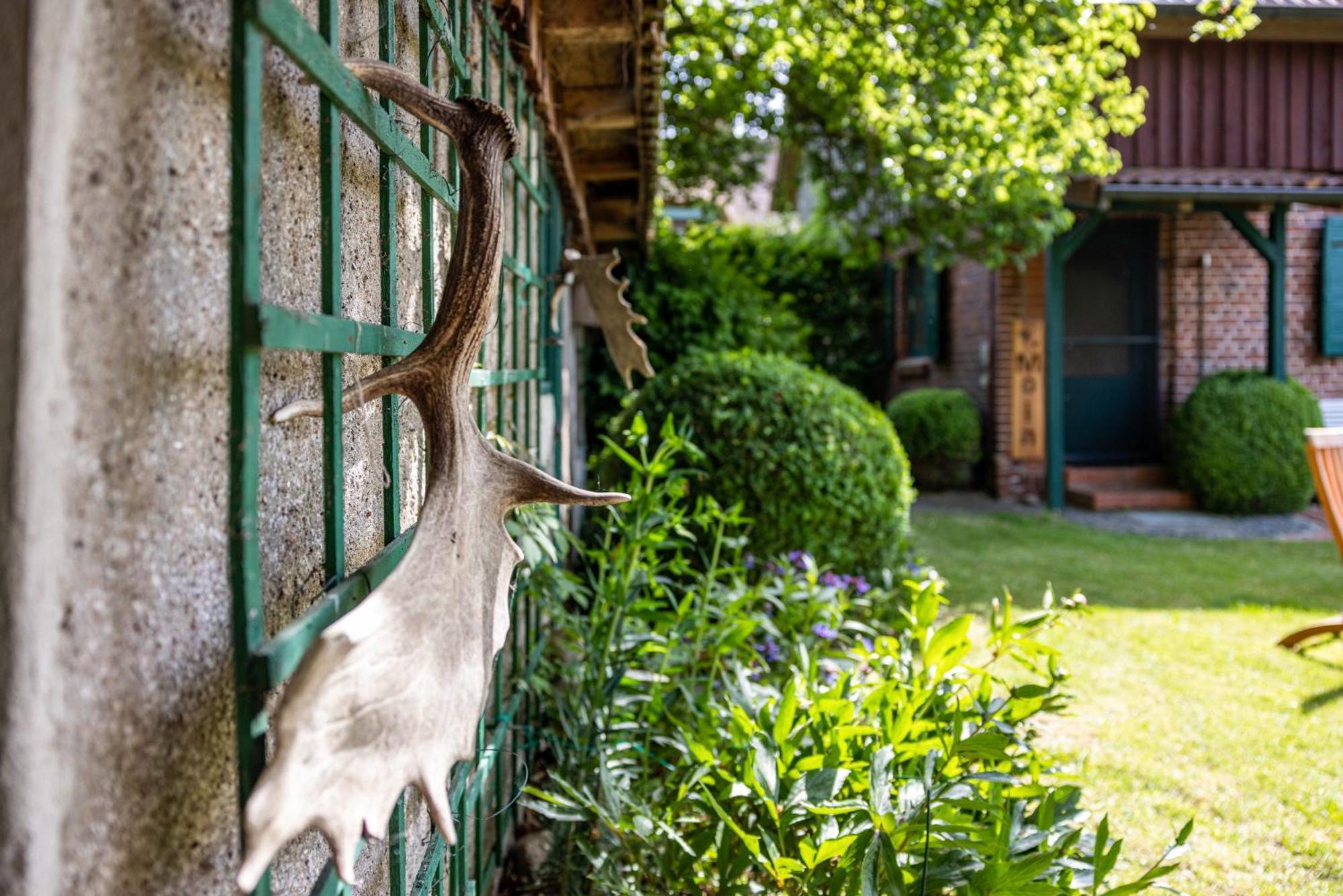Forsthof Schulte Villa Pronstorf Exterior photo